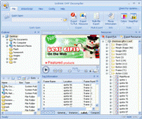 Flash Decompiler